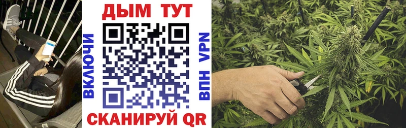 Названия наркотиков Осташков A PVP  Псилоцибиновые грибы  Марихуана  LSD-25  Мефедрон 