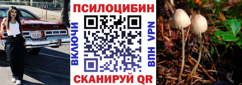 Псилоцибиновые грибы GOLDEN TEACHER  где купить наркоту  Осташков 